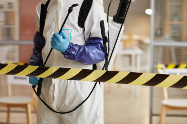 Professional Sewage Cleanup technician working in Mascotte, FL